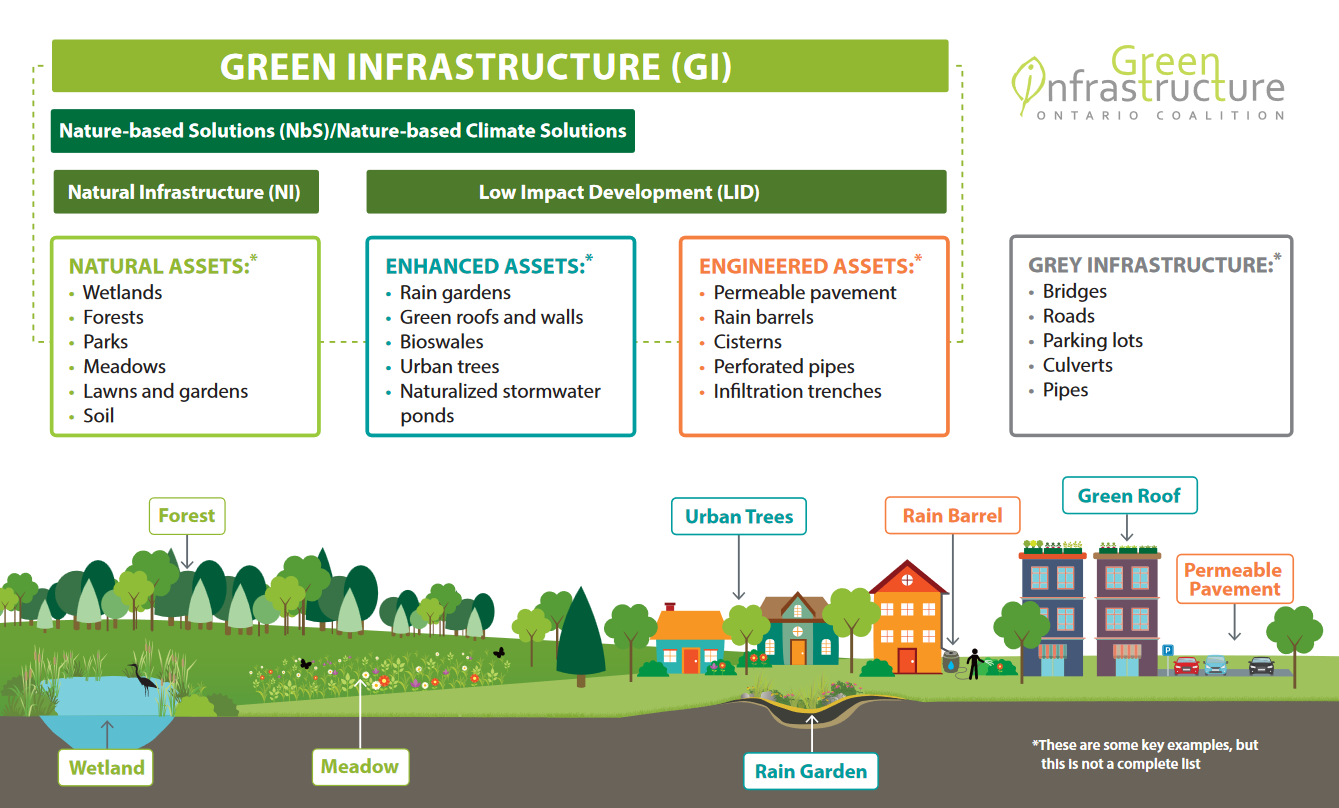 Infographic showing types of green infrastructure: natural, enhanced, engineered, and grey assets with examples.