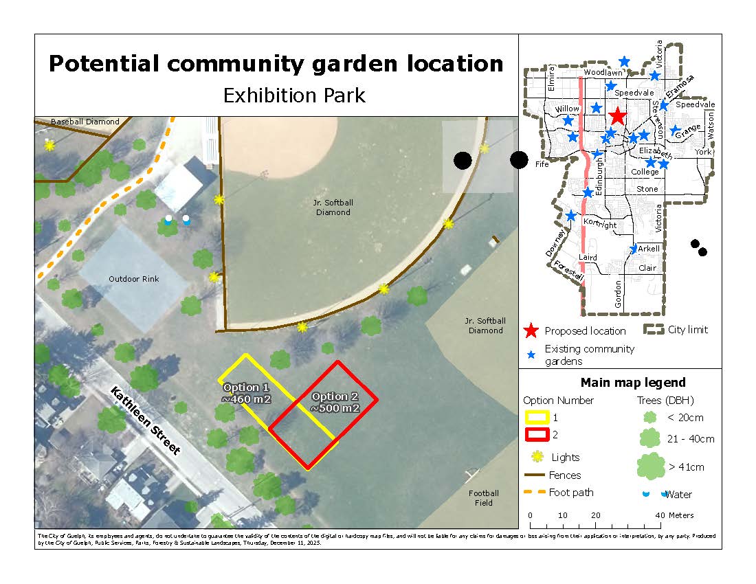 An aerial view of Exhibition Park with two proposed garden sites near junior softball diamonds along Kathleen Street: Option 1 (460 m²) and Option 2 (500 m²)