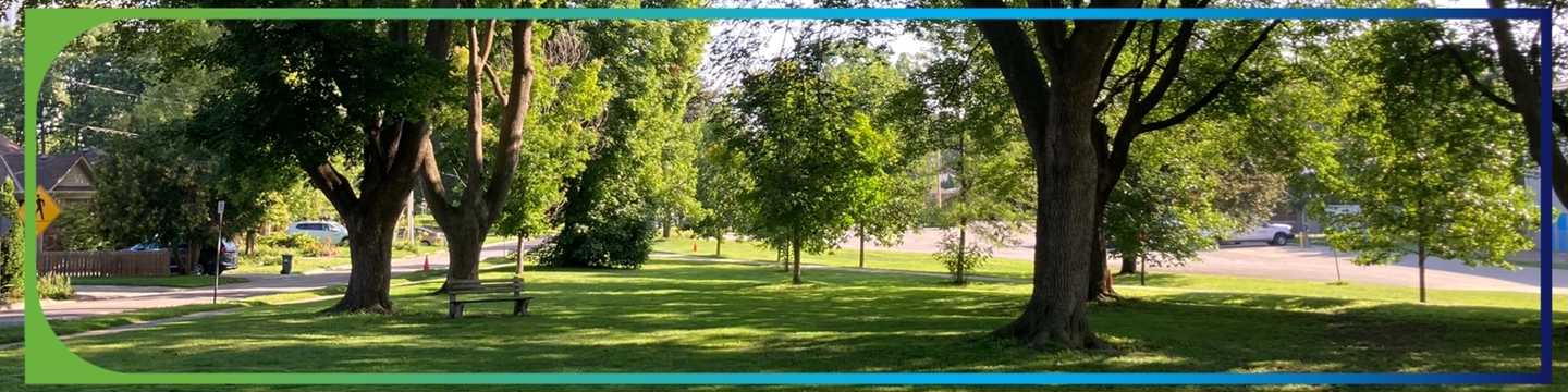 Park green space and trees