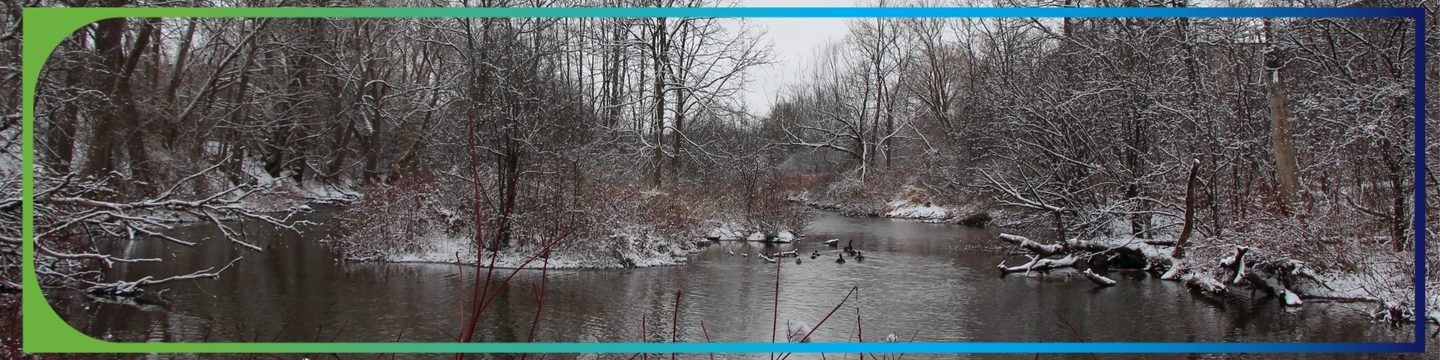 river and trees during winter