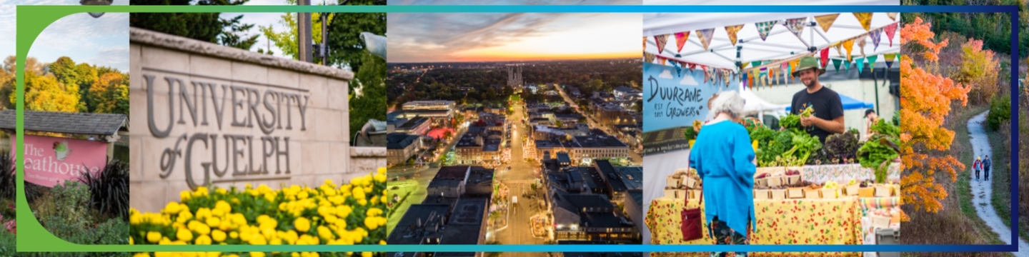 A collage of five different scenes. From left to right: a pink building with a sign that reads 'The Boathouse' surrounded by greenery; a stone sign with the text 'University of Guelph' in front of yellow flowers; an aerial view of a city at sunset or dusk, showing buildings and streets; a market scene with a person selling produce under a tent with colorful flags; and a pathway through an autumn forest with trees displaying fall colors.