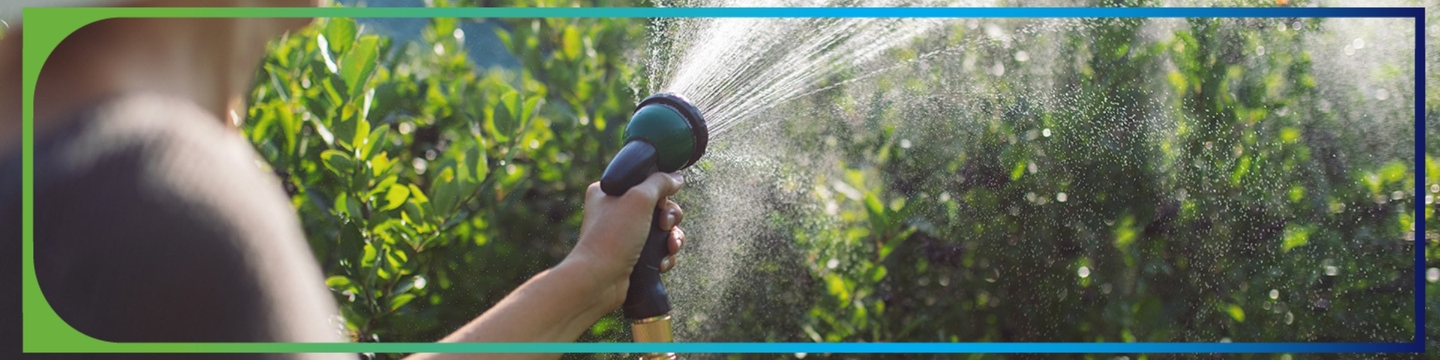 Person outside watering plants with a garden hose