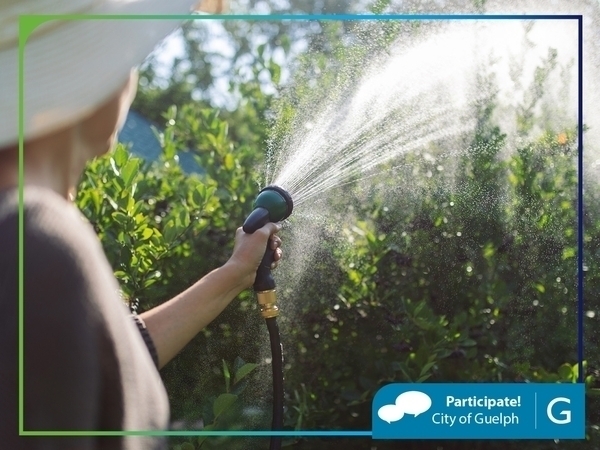 Person outside watering plants with a garden hose